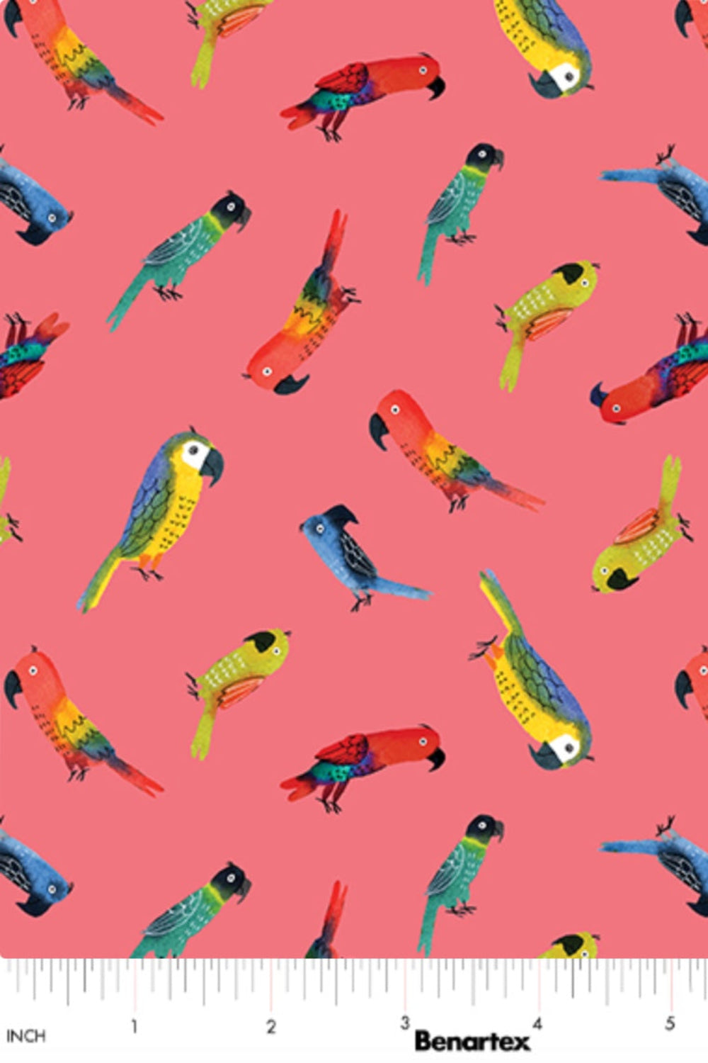 Safari Fun – Jungle Birds Sorbet – fabric – colorful textile design