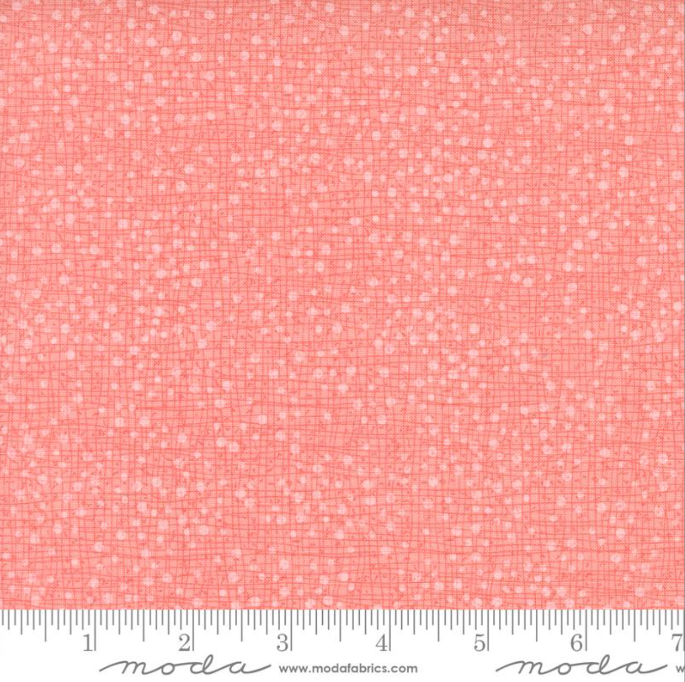Dotty Thatched Carnation