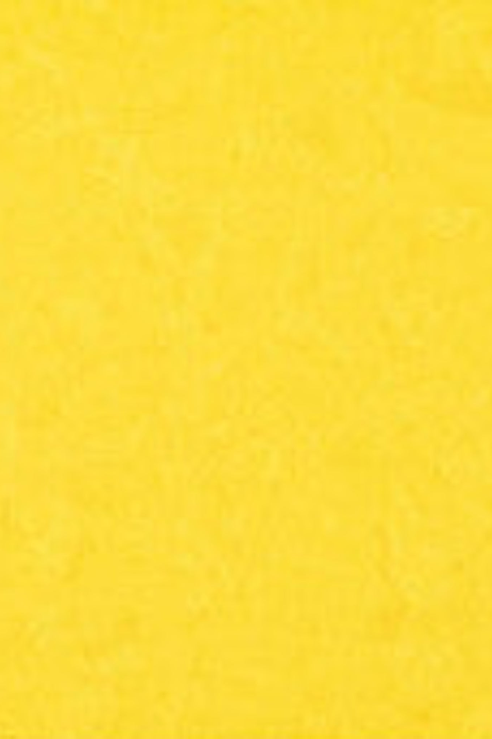 Expressions Batiks Hand-Dyes Bumblebee