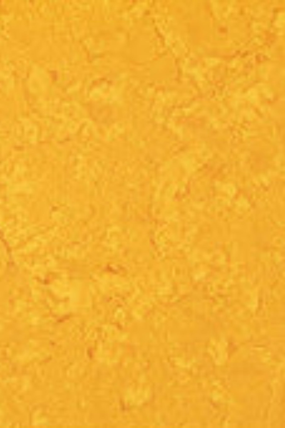 Expressions Batiks Hand-Dyes Curry