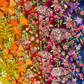 **Alt text:**

`Wild Blossoms Rainbow quilting cotton by Robin Pickens for Moda Fabrics — draped fabric showing full rainbow ombré sweep from cobalt blue with purple wildflowers and bumblebees through magenta clover and Queen Anne's lace, vivid red, orange California poppies, to golden yellow goldenrod — available at IraRobi Quilts`