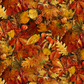 Autumn Celebration Multi Small Foliage quilting cotton by Jason Yenter for In The Beginning Fabrics — vertical close-up of a densely packed allover tossed leaf print with oak, maple, Virginia creeper, and broad ovate leaves in amber, burnt orange, rust, and golden yellow, with orange physalis lanterns and red rowan berry clusters. 100% cotton, 43–44" wide.