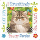 Jody Houghton Designs Cat Joy – 6" x 6" fabric art panel featuring illustrated fluffy Persian cat portrait with folk-art floral border and text "I Pawsitively Love My Pretty Persian" on white background