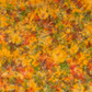 Expressions Batiks Hand-Dyes Orange Multi II quilting cotton fabric by Riley Blake Designs showing bright luminous golden amber-orange multicolor hand-dyed batik with warm red-orange splashes, olive and moss green accents, and soft lavender-grey hints – a bold autumn harvest focal blender, 100% cotton batik, 43–44" wide