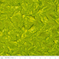 Expressions Batiks Hand-Dyes quilting cotton with ruler showing scale of pattern repeat – Sap vivid chartreuse yellow-green hand-dyed batik