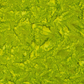 Close-up detail of Expressions Batiks Hand-Dyes Sap quilting cotton fabric highlighting print clarity and vivid sap green hand-dyed batik texture