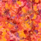 Expressions Batiks Hand-Dyed Bouquet quilting cotton with ruler showing scale of pattern repeat – Pinterest scale reference