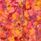 Expressions Batiks Hand-Dyes Bouquet fabric by Riley Blake Designs – vibrant multicolor hand-dyed batik with warm golden orange base and bold splashes of hot pink, magenta, crimson red, soft lavender, and peachy blush, a stunning focal blender perfect for floral, scrappy, and jewel-tone quilts, 100% cotton batik, available at IraRobi Quilts