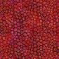 Allure Red Lanterns quilting cotton fabric showing allover striped oval lantern pattern – jewel-toned crimson, ruby, magenta, and orange lanterns with subtle botanical texture on deep burgundy ground by Jason Yenter for In The Beginning Fabrics, 100% cotton, 3 yard cut
