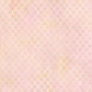 Allure Peach Lattice fabric by Jason Yenter for In The Beginning Fabrics – soft tonal geometric lattice of interlocking star and diamond shapes in blush pink, peach, and cream, perfect as a background or blender for feminine quilt projects, 100% cotton, 3 yard cut