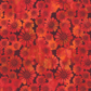 Sunshine Red Daisies 3 Yard Cut Fabric – by Jason Yenter for In The Beginning Fabrics