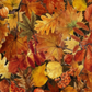 Close-up of Autumn Celebration Multi Small Foliage quilting cotton showing scattered detailed leaf motif