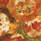 Autumn Celebration Multi Circles quilting cotton fabric by Jason Yenter for In The Beginning Fabrics — close crop showing large overlapping circular medallions with russet-orange lattice borders filled with layered autumn maple leaves in vivid crimson red, burnt orange, golden yellow, and olive green. 100% cotton, 43–44" wide. Available at IraRobi Quilts.