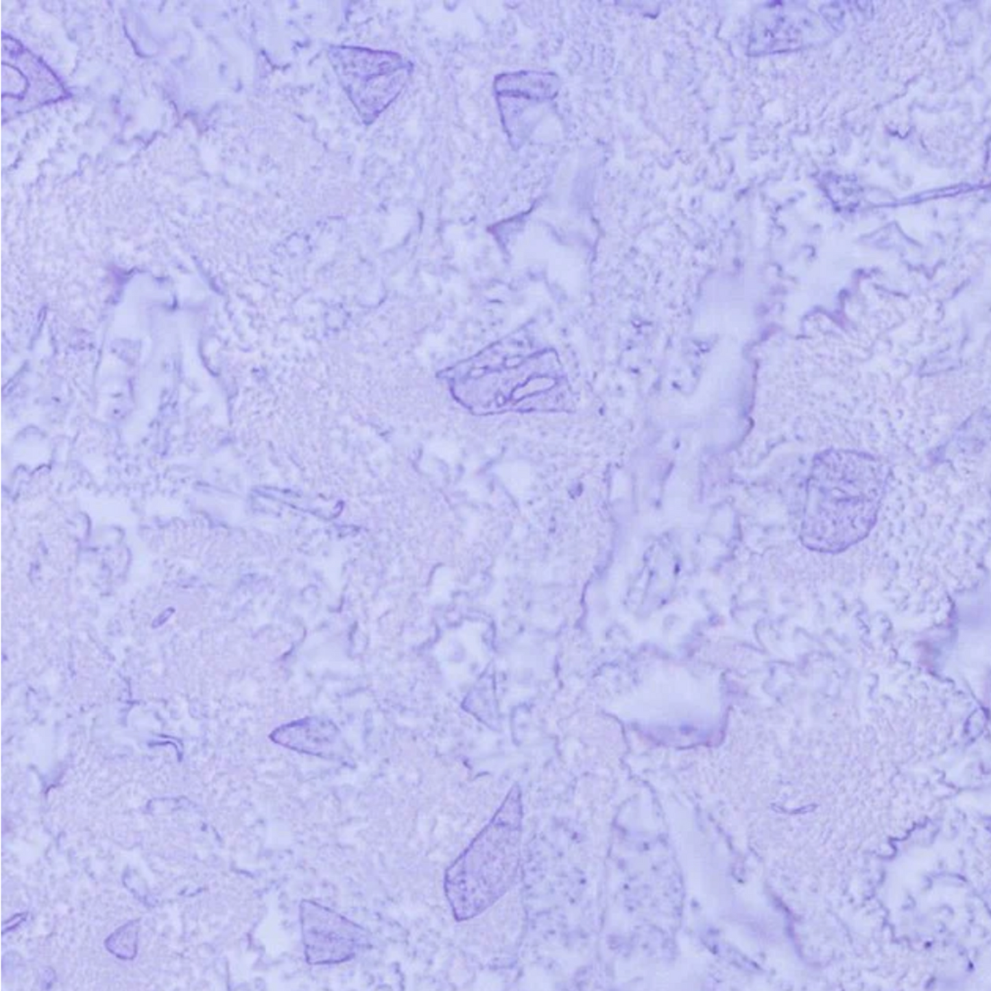 Expressions Batiks Hand-Dyed Periwinkle by Riley Blake Designs – close-up detail showing organic tonal variation and hand-dyed texture