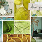 Olive You Leaves Spray by Zen Chic