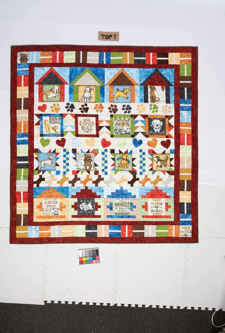 Playful Panel Quilts