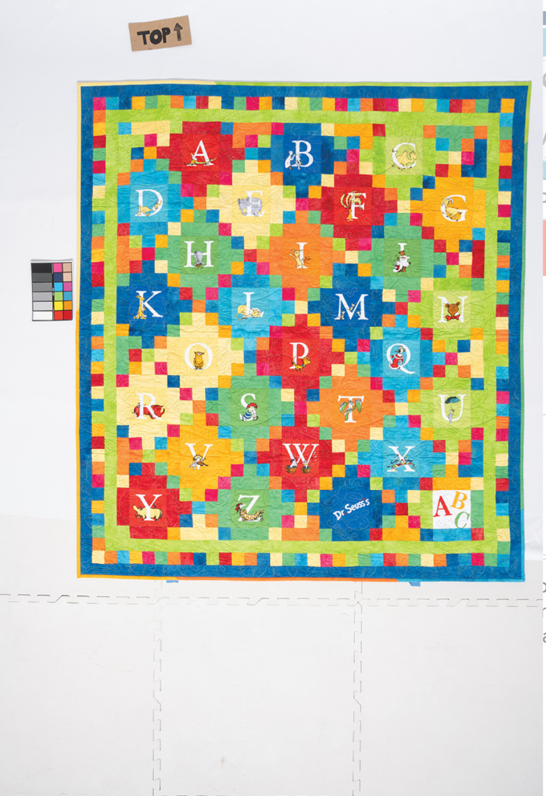 Playful Panel Quilts