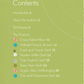 Contemporary Curved Quilts – book – colorful textile design