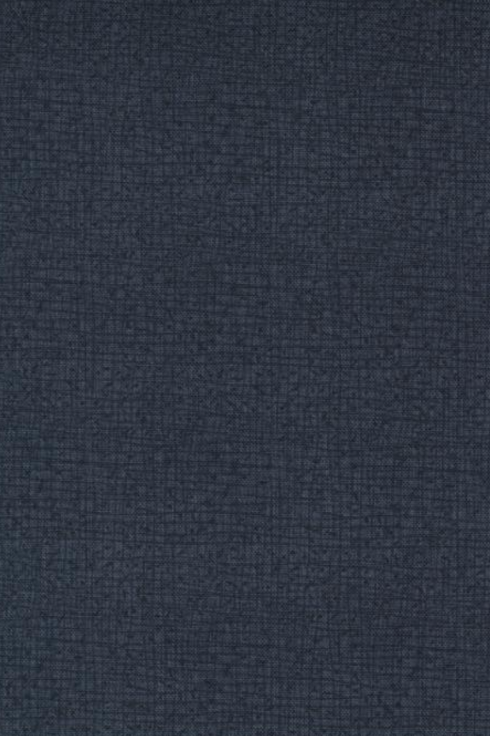 Thatched Soft Black Fabric – by Robin Pickens for Moda Fabrics