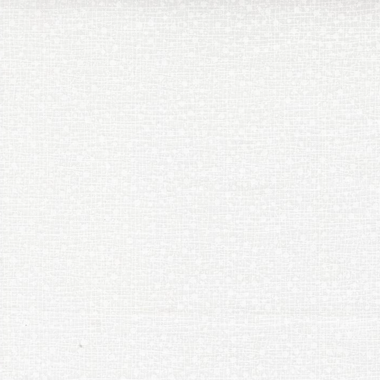 Whit on White color swatch