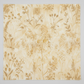 Reflections of Autumn II Twigs 3 Yard Cut quilting cotton by Jason Yenter for In The Beginning Fabrics — close-up flat lay showing tone-on-tone botanical silhouettes of wild grasses, slender twigs, delicate ferns, seed pods, and meadow botanicals in warm taupe and honey gold on soft warm cream and pale gold ground, 100% cotton, 43–44" wide.