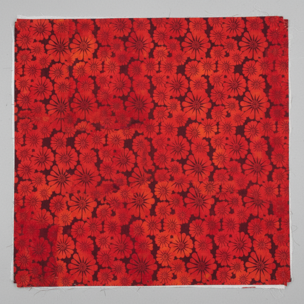 Sunshine Red Daisies 3 Yard Cut quilting cotton by Jason Yenter for In The Beginning Fabrics — close-up flat lay showing hundreds of densely packed daisy blooms in vibrant red and warm orange with dark burgundy petal outlines and spiked centers on rich deep red-maroon ground, 100% cotton, 43–44" wide. Quilt blocks shown for inspiration. Coordinating fabrics and quilt patterns are available at IraRobi Quilts.