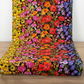 Superbloom Jewel ombré floral quilting cotton by Robin Pickens for Moda Fabrics draped over wood surface – full rainbow sweep from yellow sunflowers through pink coneflowers, red poppies, and purple bluebells – available at IraRobi Quilts